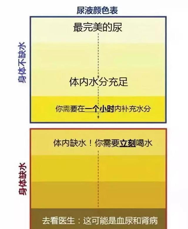 多喝水和少喝水的人，后來會怎樣？一張表格告訴你